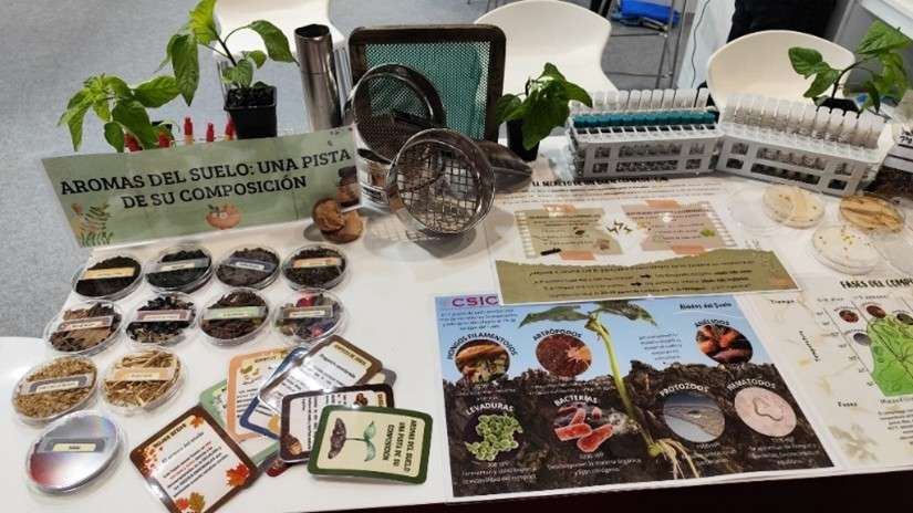 El grupo de Agricultura Sostenible y Biogeoquímica del ICA-CSIC participa en la semana de la ciencia 2025 con dos actividades paralelas - 1